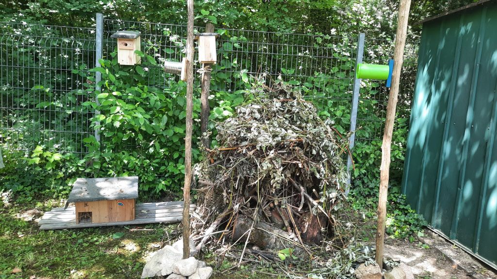 Biodiversitätssäule