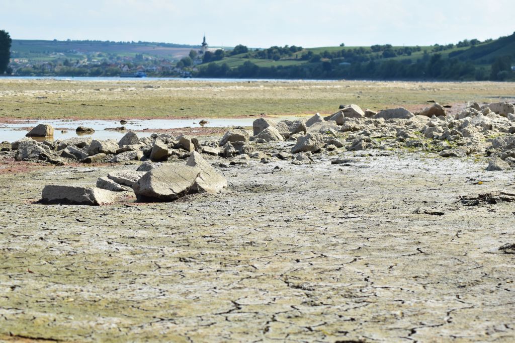 Niedrigwasser - aufgenommen vom Flussbett im Rhein